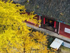 -佛荫寺