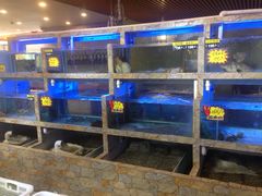 水产区-桃源尚品海鲜酒楼(京港澳高速店)