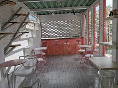 -喵屿·大理花园猫咖