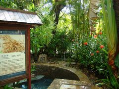 -三亚珠江南田温泉度假区