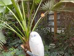 -南宫五洲植物乐园