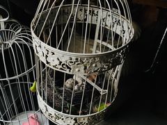 -胡桃里乐队酒馆(鎏嘉码头店)