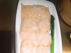 -南枝记