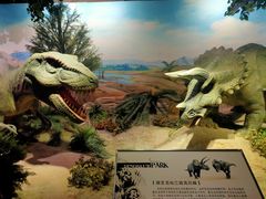 -国家自然博物馆