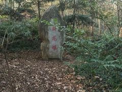 -上海佘山国家森林公园天马山园