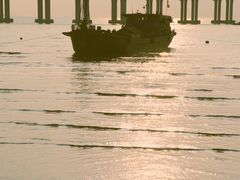 -宝安西湾红树林湿地公园