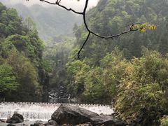 -祁门牯牛降观音堂风景区