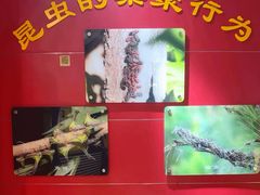 -上海昆虫博物馆