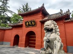 -洛阳白马寺