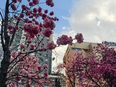 -昆明动物园