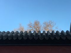 -北京市府学胡同小学