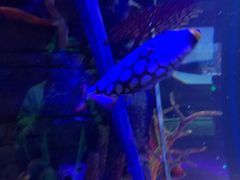 -沈阳海洋探索中心