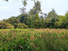 -桂湖森林公园
