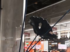 -新辣道鱼火锅(航天万源店)