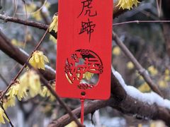 -眉州东坡(翠微印象城店)