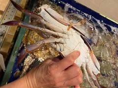 -高佳庄·舟山海鲜(海景旗舰店)