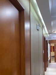 -蓝山医疗美容医院