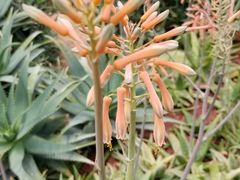 -南通洲际绿博园