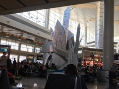 -达拉斯 沃斯堡国际机场