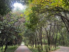 -洛阳市隋唐城遗址植物园