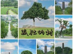 -红花山公园