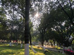 -天河儿童公园