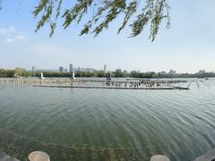 -济南大明湖景区