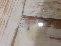 iphone_upload_pic-十面欢腾·海鲜面·台式Bistro(长乐路店)