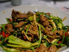 香菜炒牛肉-壹盏灯(蚂蚁工房店)