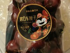 -百果园PAGODA(沿海赛洛城店)