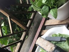 -罗记又添缘竹荪山药鸡·野生菌火锅(西园南路店)