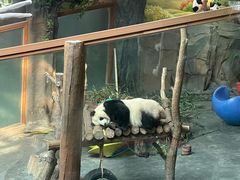 -青藏高原野生动物园