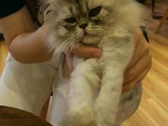 -藦茜花园宠物主题亲子互动体验馆(国顺东路店)