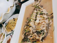 -中苑海韵