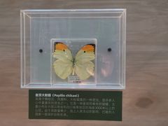 -深圳龙华星河COCO City(民治店)