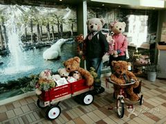 -济州岛泰迪熊博物馆