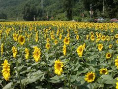 2013-09-06-522-百里山水画廊乌龙峡谷