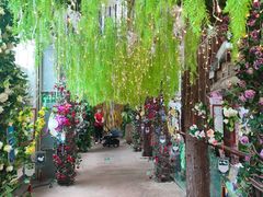 -正佳雨林生态植物园