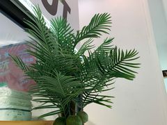 -茶大椰·椰子茶(星悦荟店)