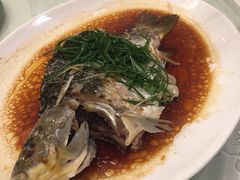 -黄埔华苑酒家(黄埔店)