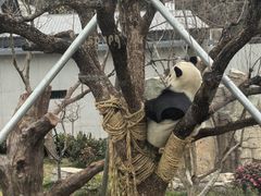 -无锡动物园·太湖欢乐园