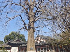 -常熟方塔园