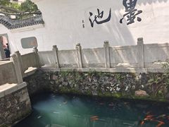 -墨池公园