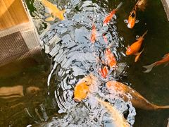 -上海大自然野生昆虫馆(东方明珠·爬宠昆虫探索中心)