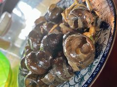 -生态苑农庄(十里画廊遇龙河店)