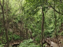 -大岭沟猕猴桃谷风景区