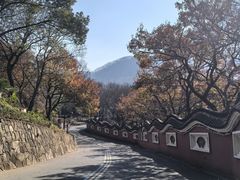 -句容茅山景区