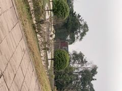 -中国大熊猫保护研究中心雅安碧峰峡基地