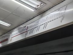 -大望路(地铁站)