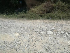 -山王坪喀斯特国家生态公园